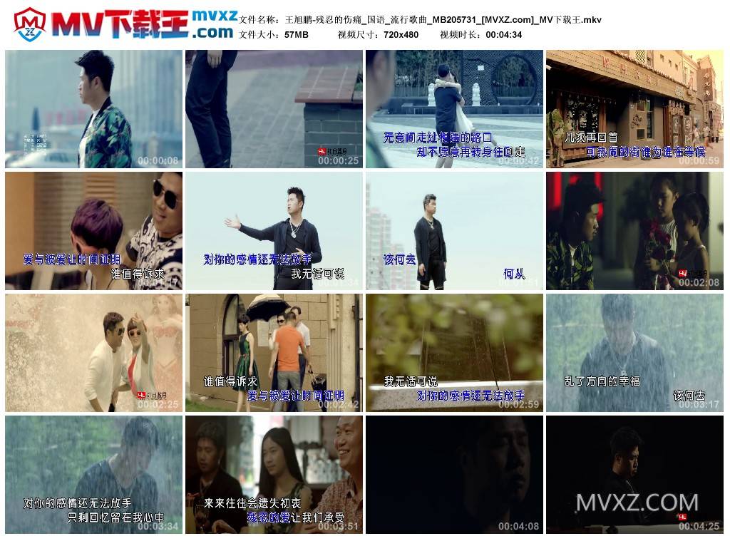 王旭鹏-残忍的伤痛_国语_流行歌曲_MB205731